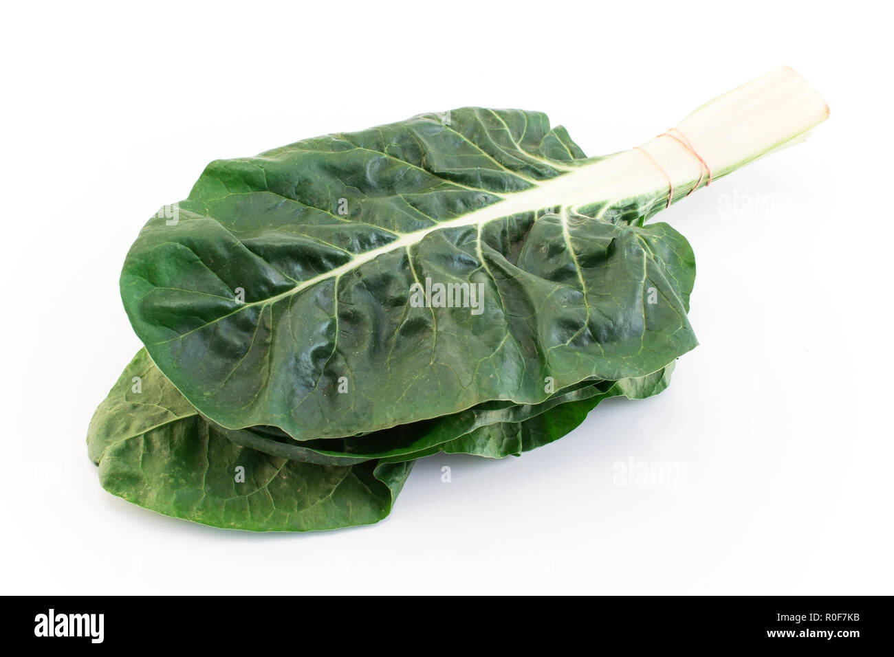 Swiss Chard Isolated on White. Stock Photo