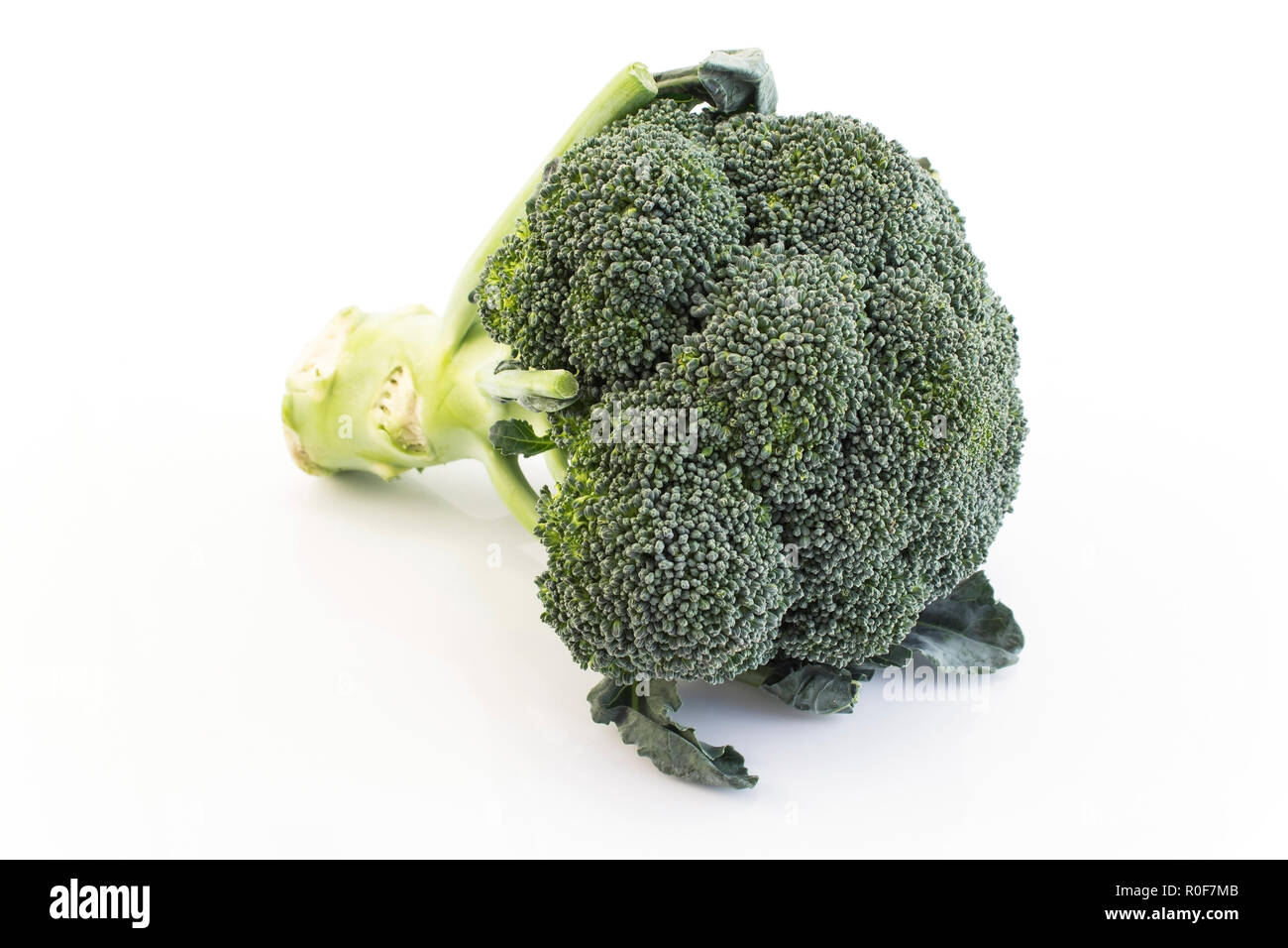 Fresh Broccoli Isolated on White. Stock Photo