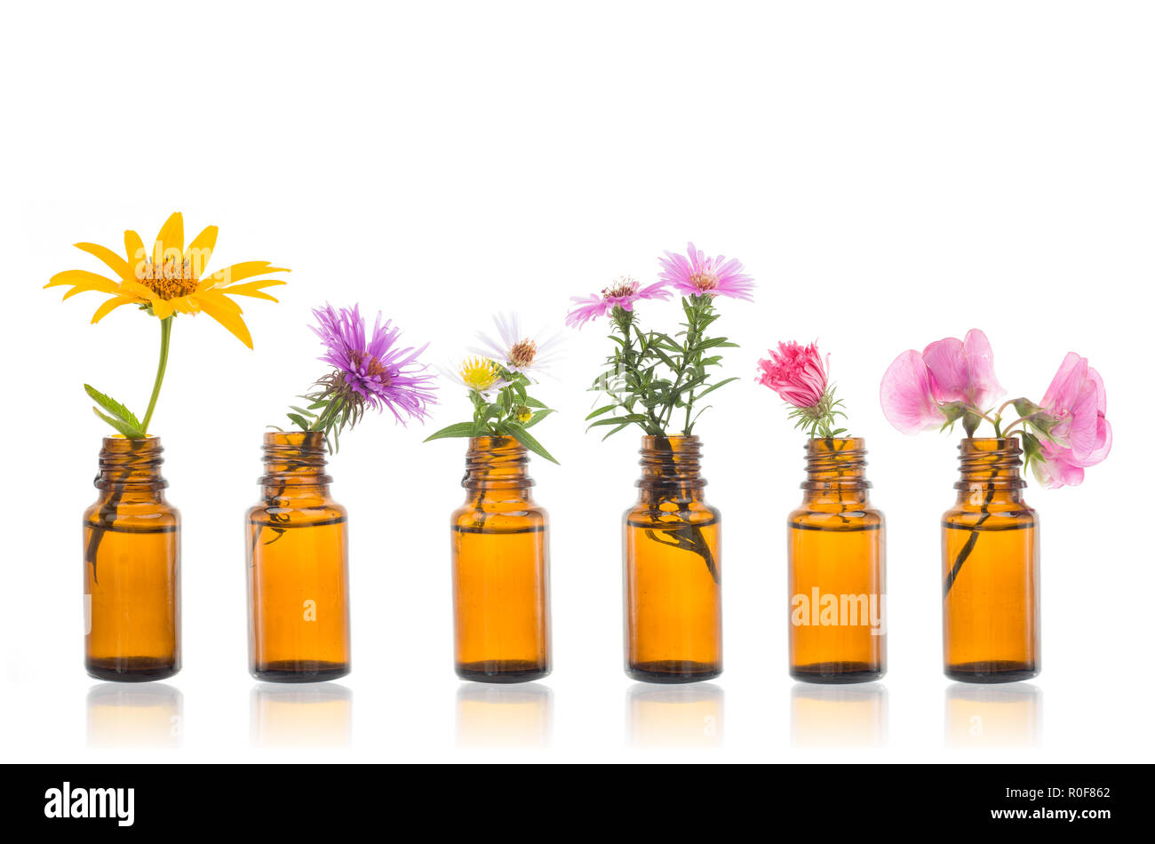 Natural remedies, bottle -  bach Bottles of essential oil with herbs holy flower. Stock Photo