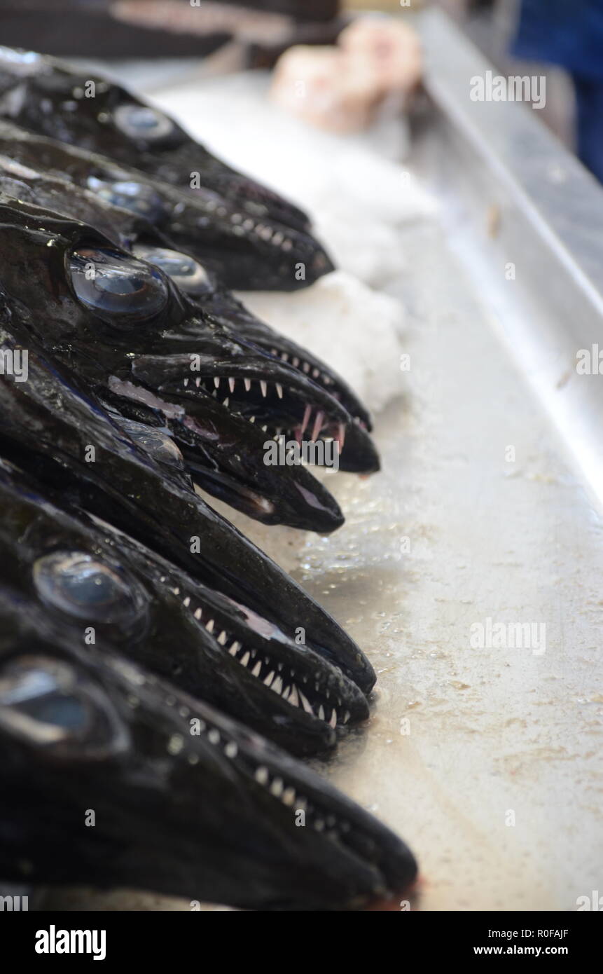 Scabbard fish, Funchal Stock Photo