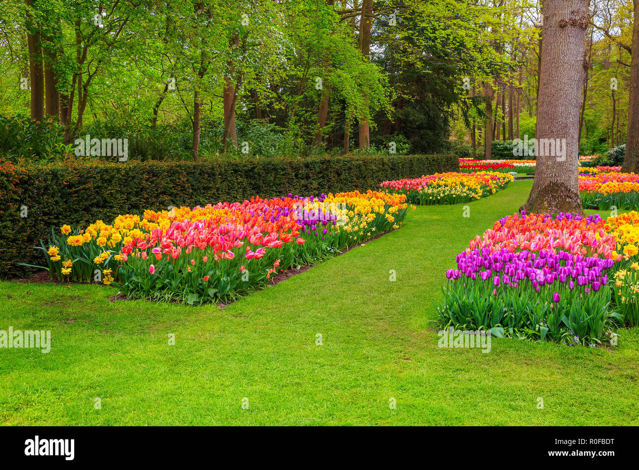 Beautiful spring landscape, stunning Keukenhof garden with ...