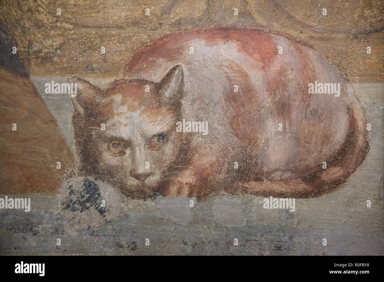 Cat depicted in the fresco 'Last Supper' by Italian Mannerist painter Alessandro Allori (1582) in the refectory of the Convent of Santa Maria del Carmine in Florence, Tuscany, Italy. Stock Photo