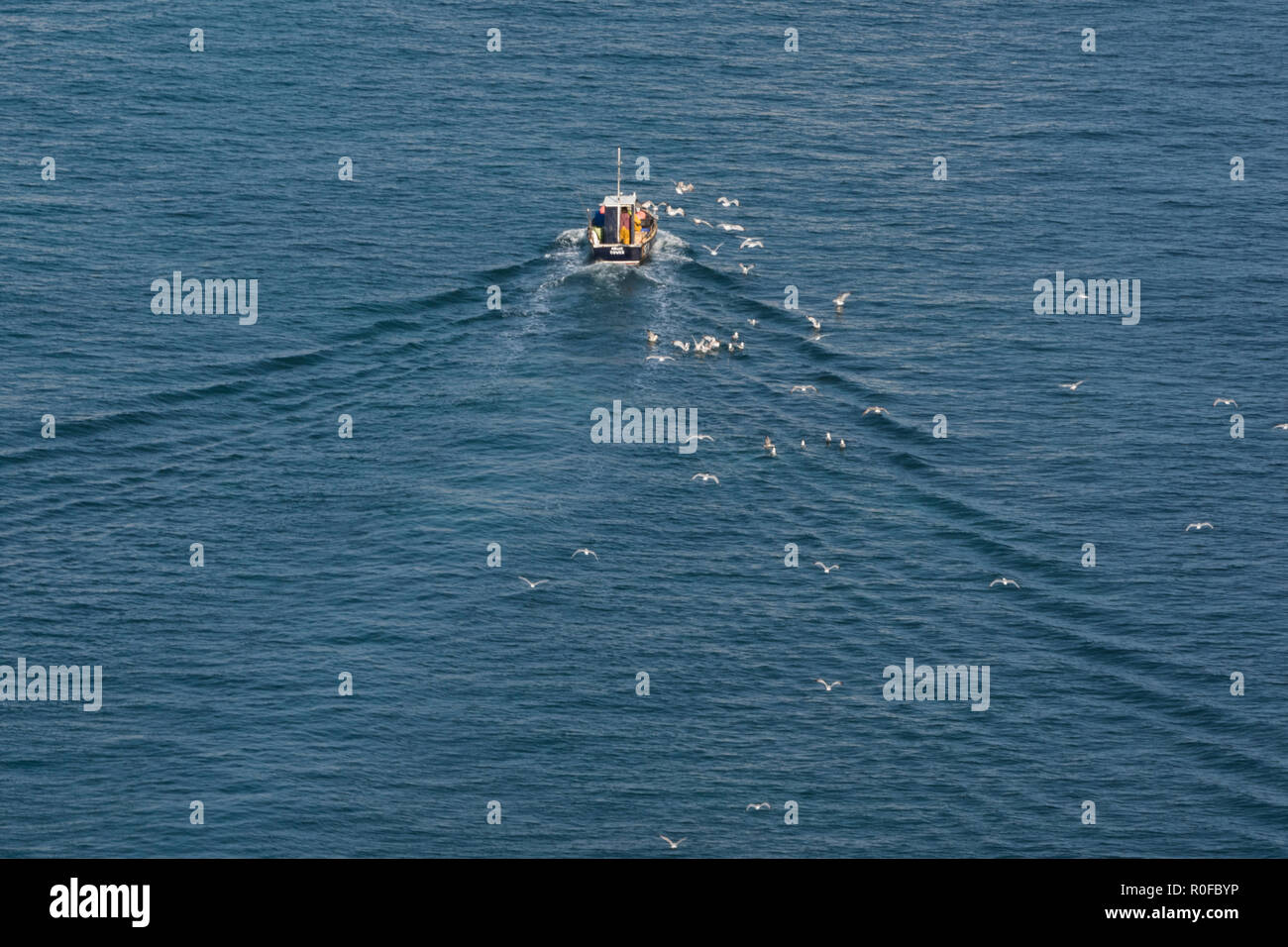 a small inshore fishing vessel or boat surrounded by gulls and creating