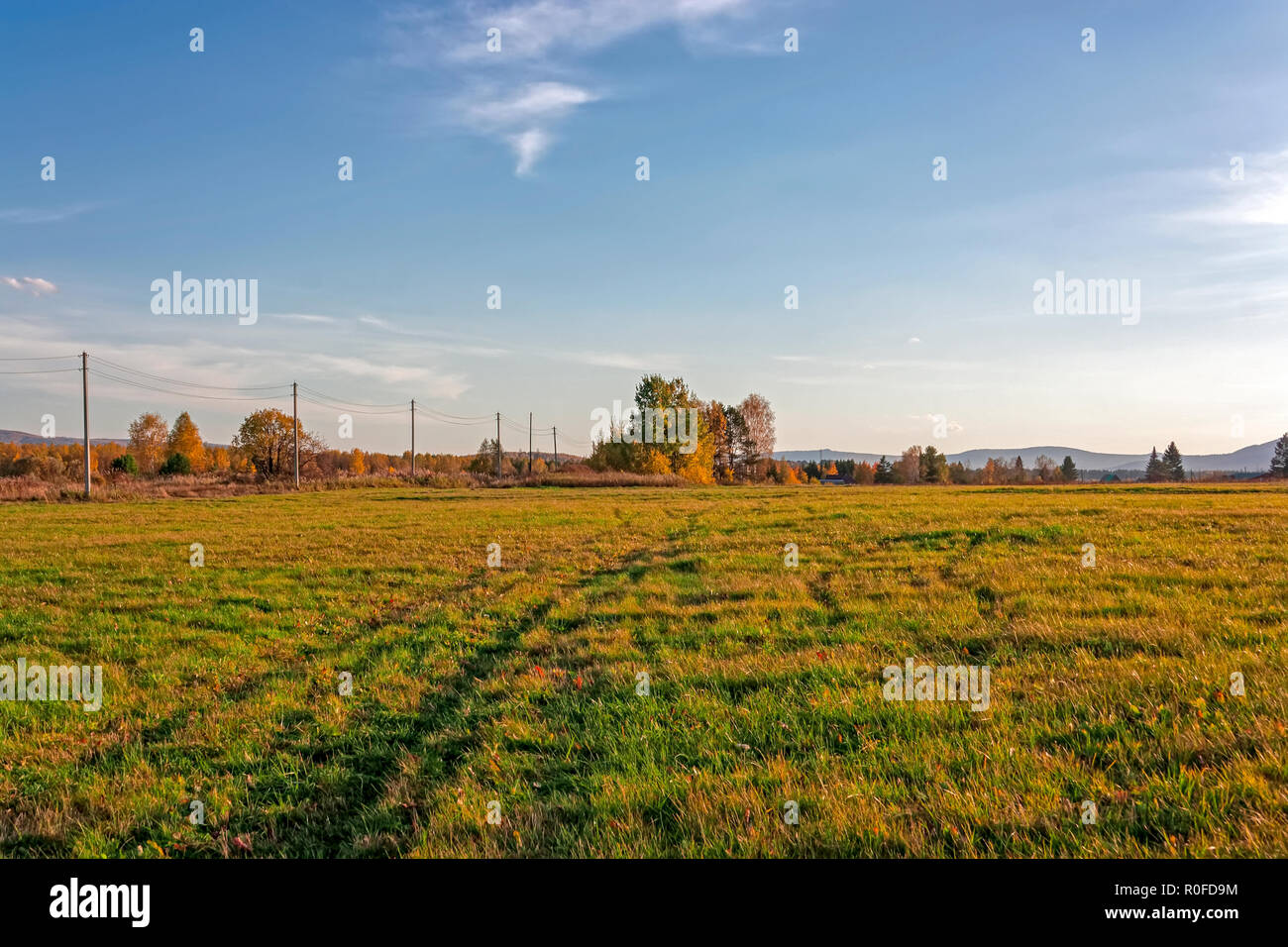 Autumn rural landscape mowed meadow on the background of trees with ...