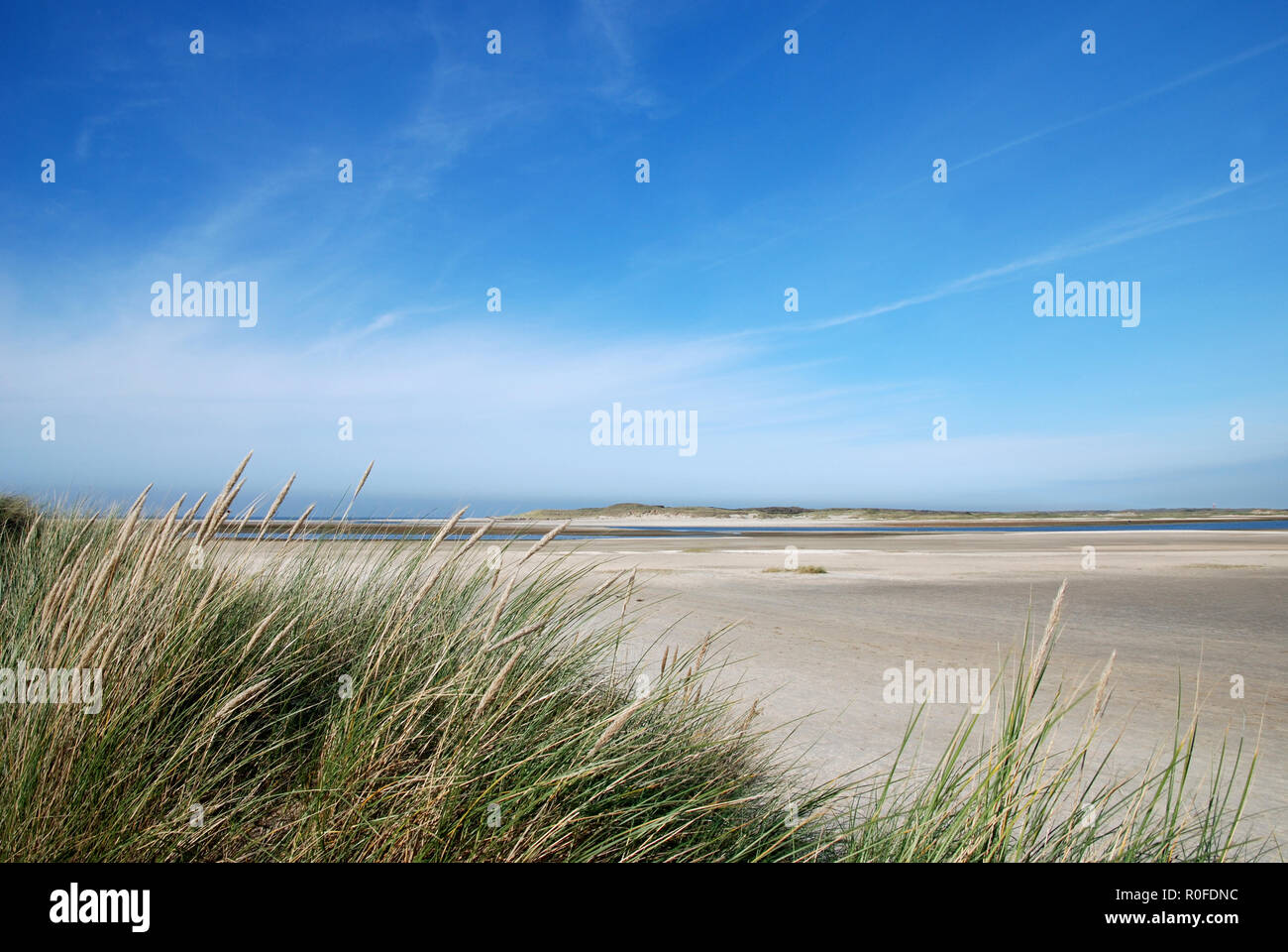 View between two dunes, grown with Beach Grass, on a North Sea beach at Texel. Island in Holland. Stock Photo