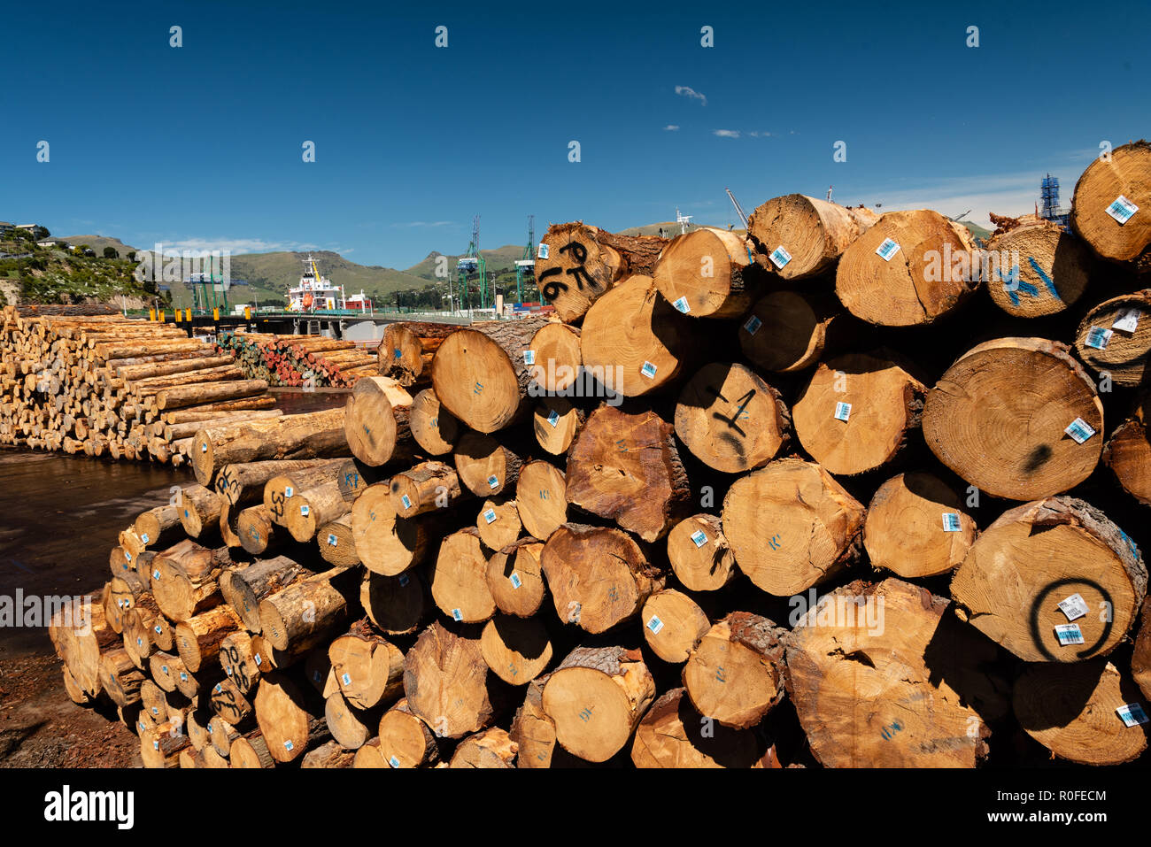Timber waiting to be loaded at the port of Lyttelton, New Zealand Stock Photo
