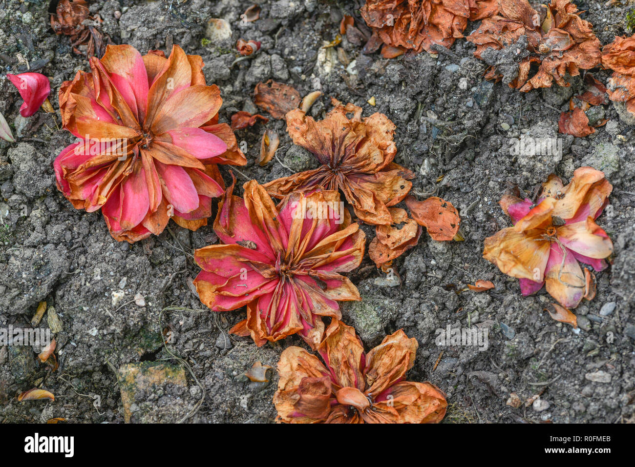 Seen better times concept hires stock photography and images Alamy