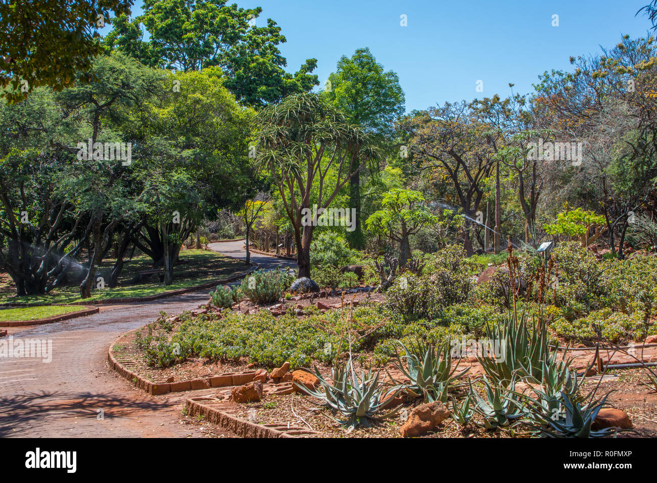 National Botanical garden in Pretoria, South Africa Stock Photo Alamy