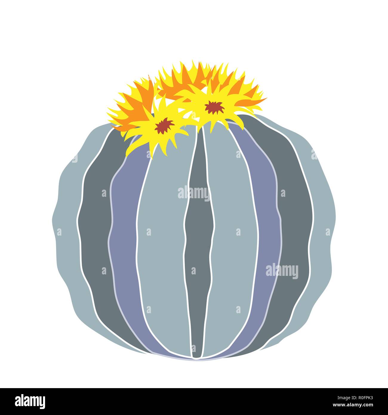 Cartoon illustration of round cactus. Isolated vector. Stock Vector