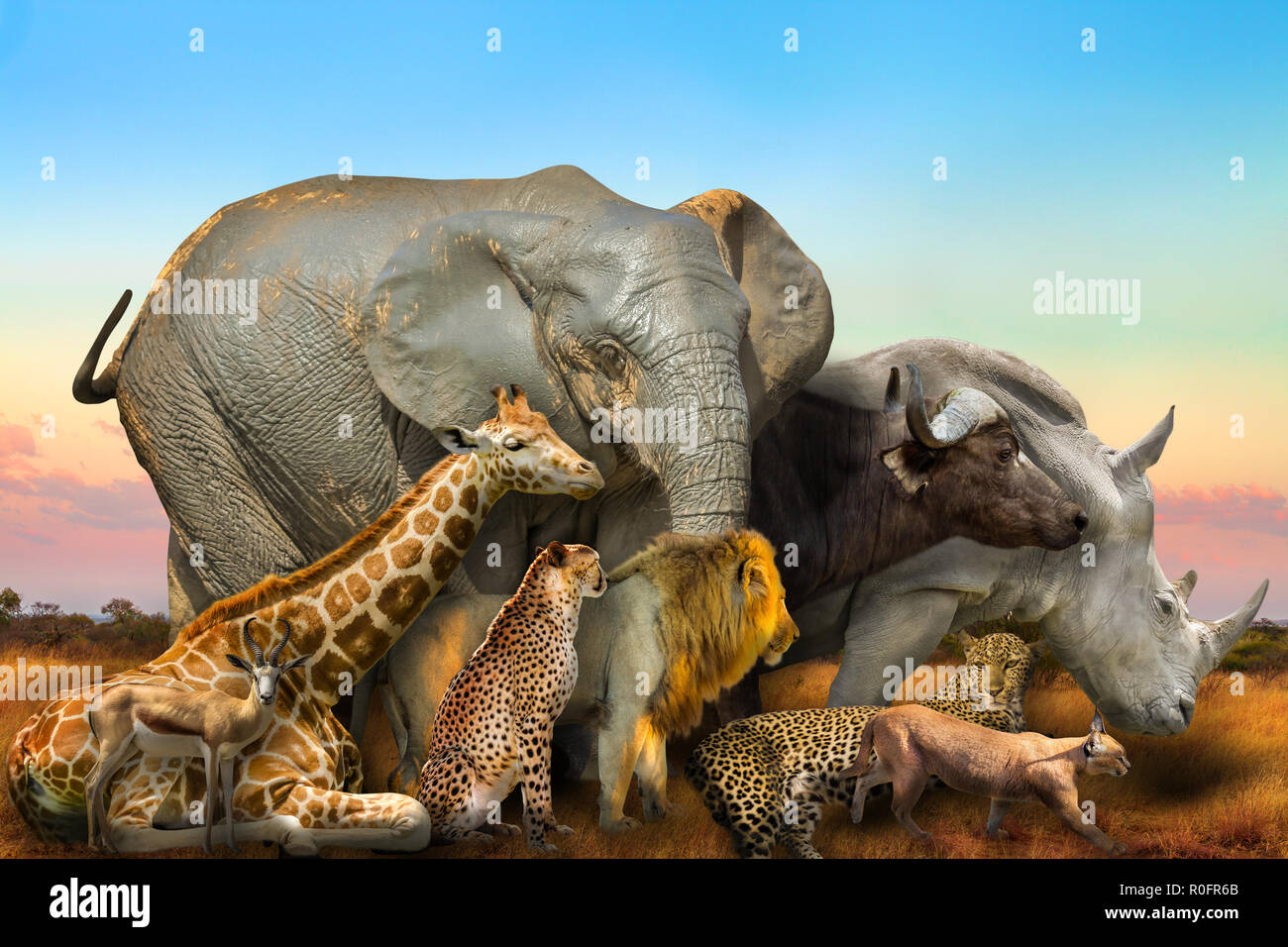 Side view of Big Five and wild african animals composition on savannah landscape at sunset light. Serengeti wildlife area in Tanzania, Africa. African safari scene. Wallpaper and collage background. Stock Photo