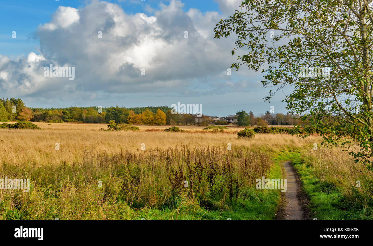 Scotstown moor aberdeen hires stock photography and images Alamy