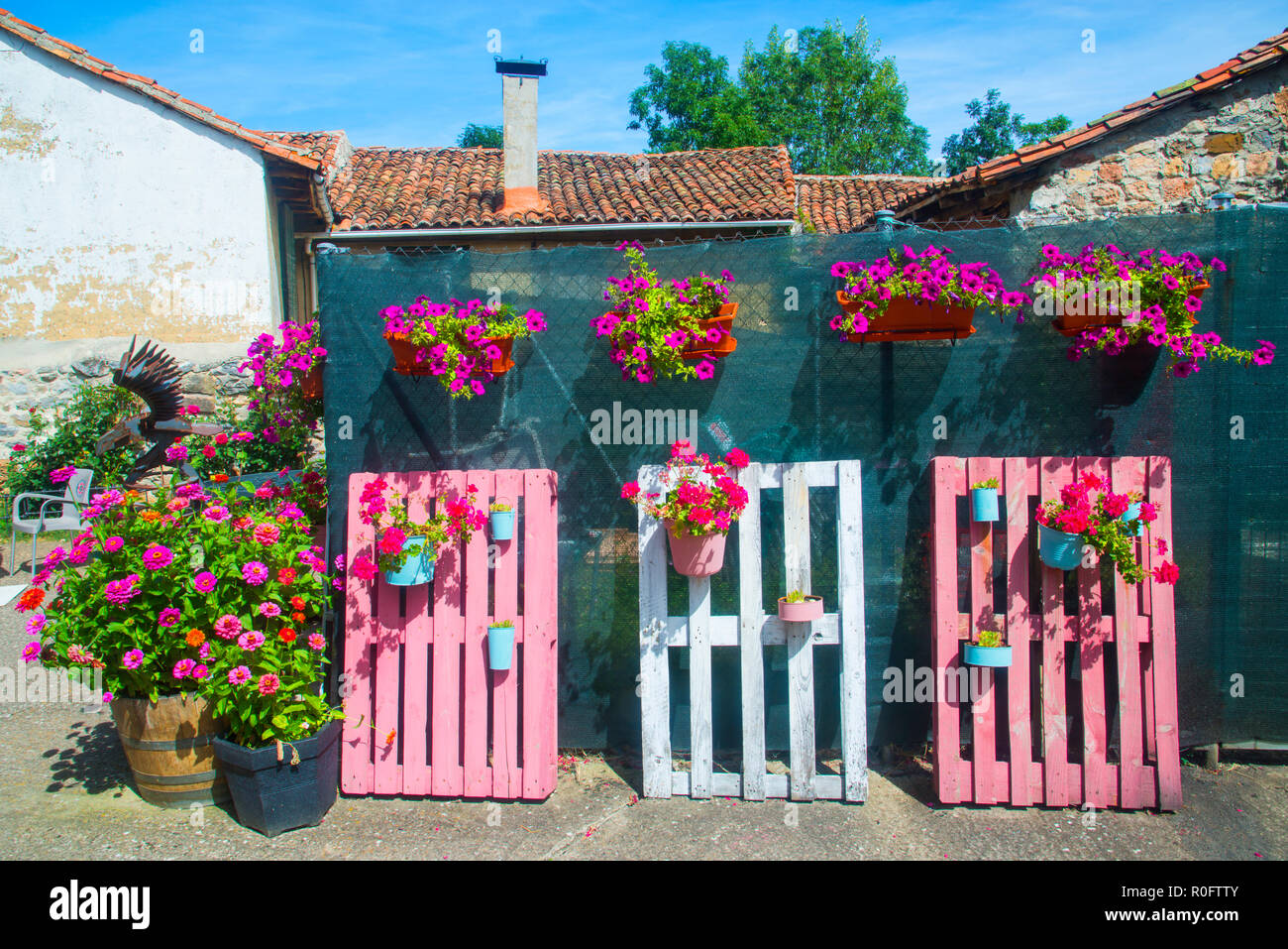 Plant pots decorating a courtyard. Spain. Stock Photo