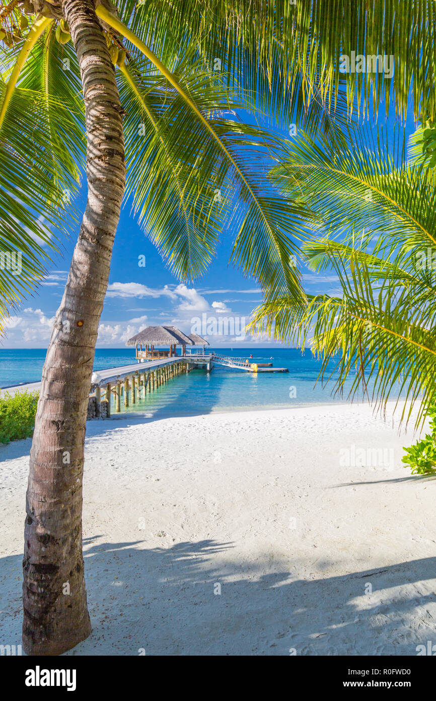 Tropical scenery hi-res stock photography and images - Alamy
