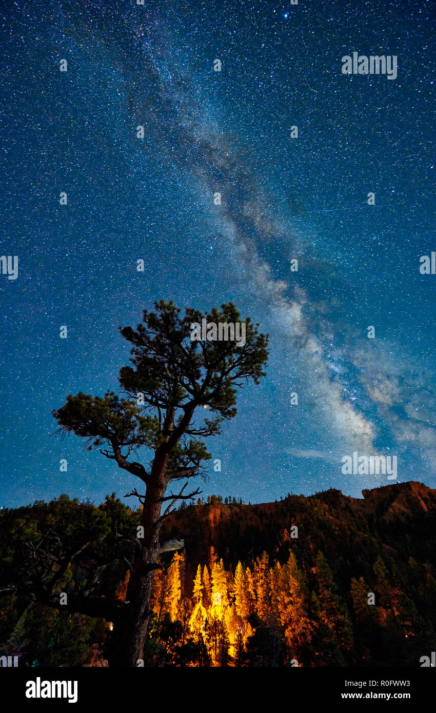 night sky with Milky way over Red Canyon in Dixie National Forest, Utah, USA, North America Stock Photo