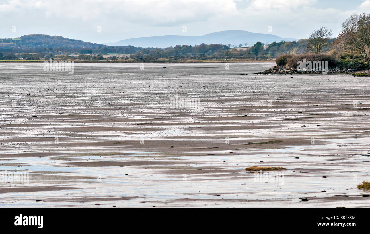Montrose Basin and nature reserve,  Angus, Scotland, UK, at low tide. Stock Photo