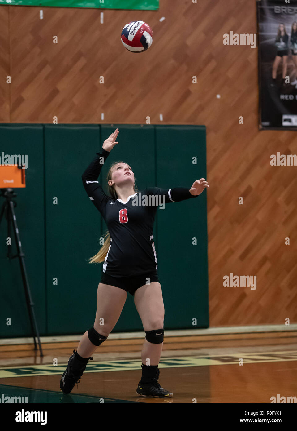 Volleyball action with Quincy vs. Hamilton High School in Red Bluff
