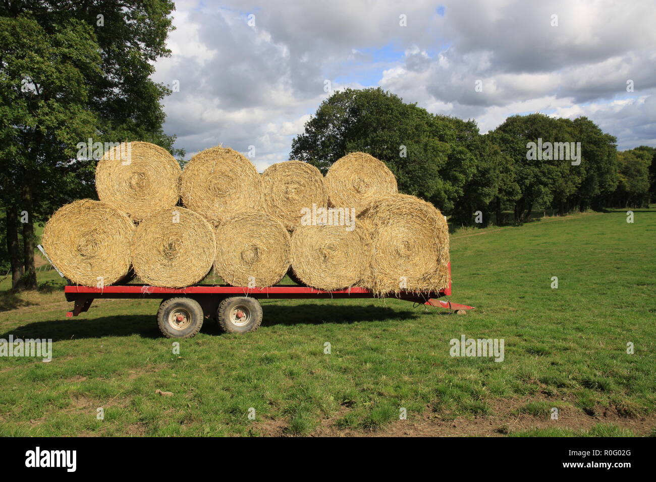 Farm trailer filled with round hay / straw bales in an English