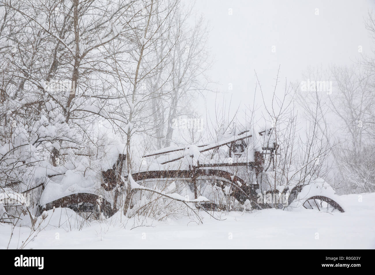 These Vintage Photos Of New York City In Blizzards Are Wonderful