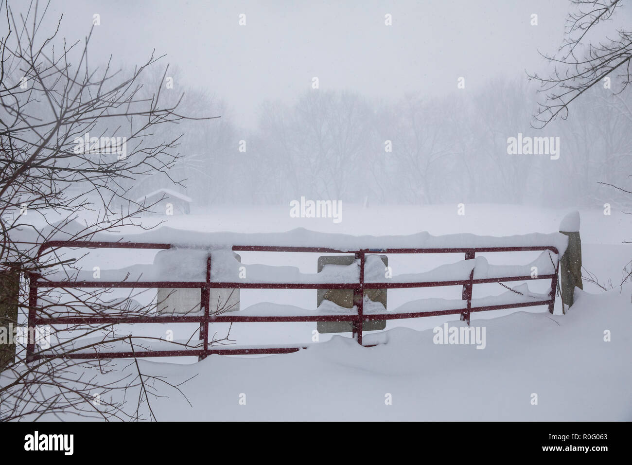 Snow collects on a gate during a blizzard in New York State. Stock Photo