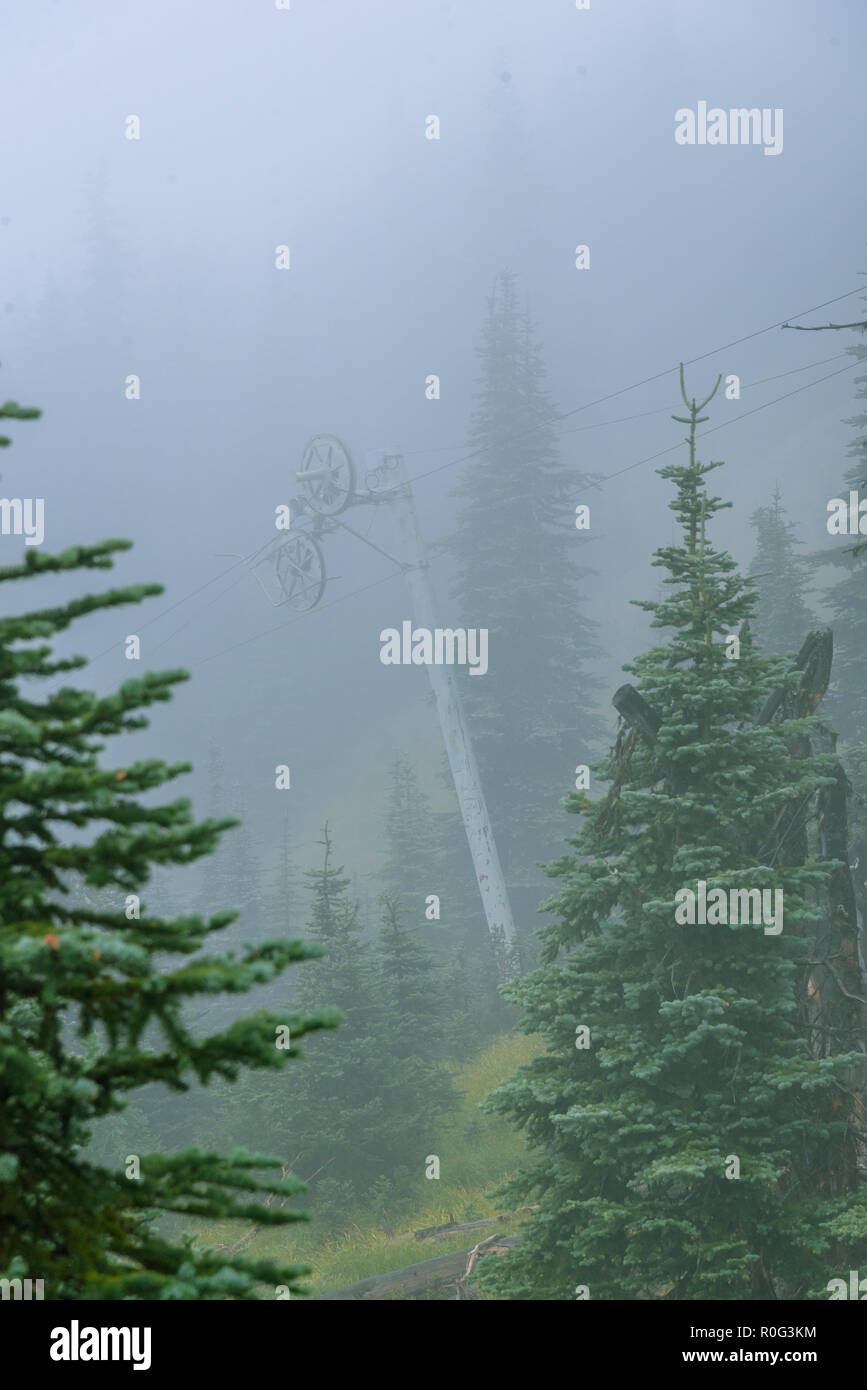 A thick fog rolls in to this lush and vibrant mountain range. Stock Photo
