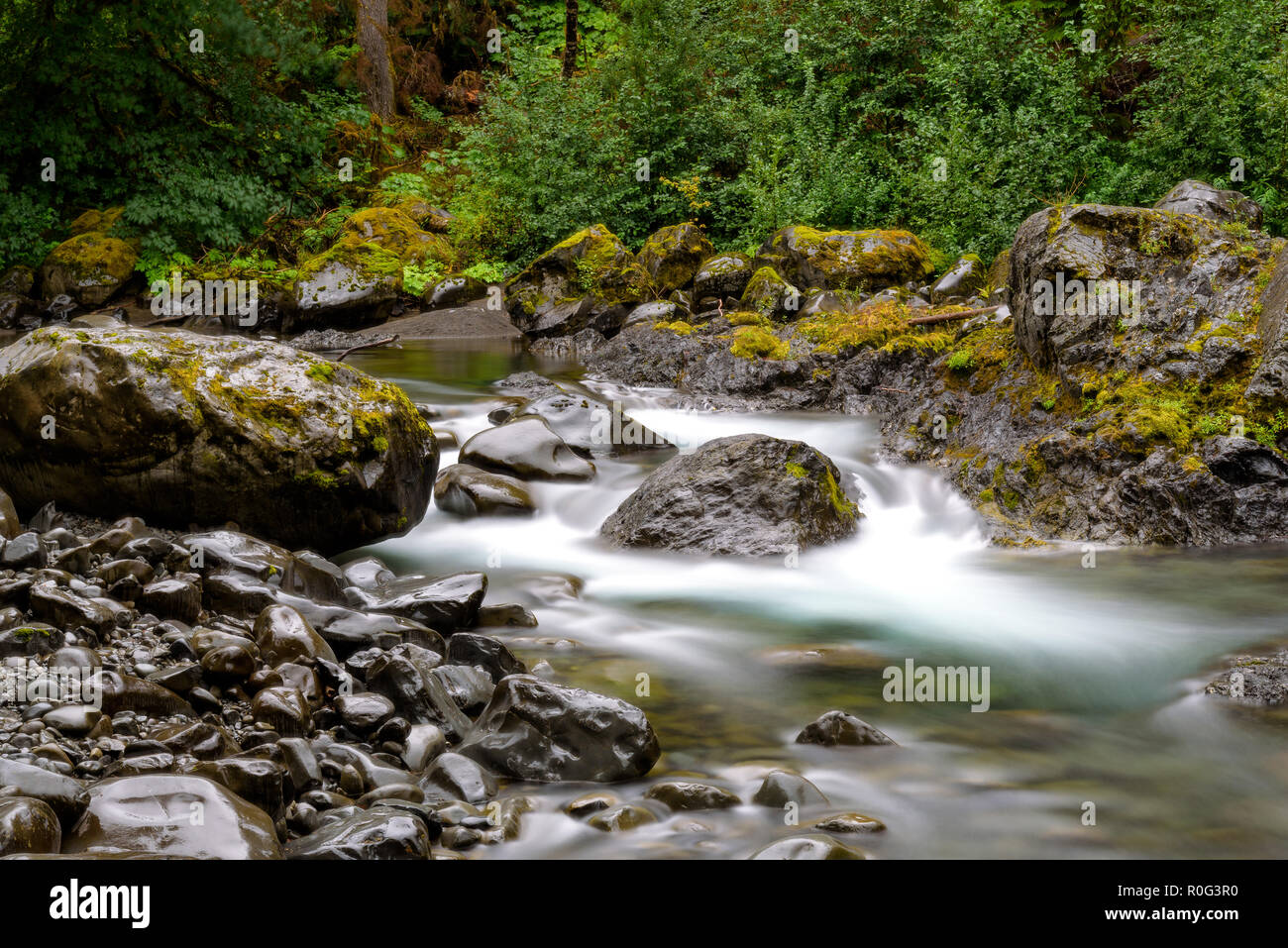 Long Exposure of a lush mountain river at twilight. Shot in the Pacific Northwest during autumn. Stock Photo