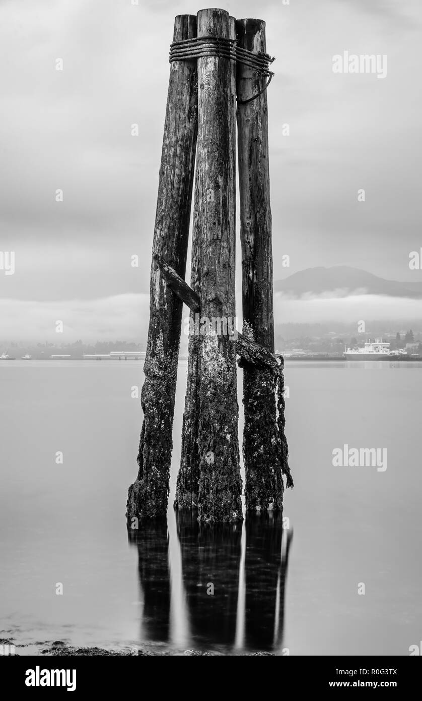 Large supports from long gone structures sit in a pacific northwest bay. Long exposure smooths the water and sky to a misty bliss Stock Photo