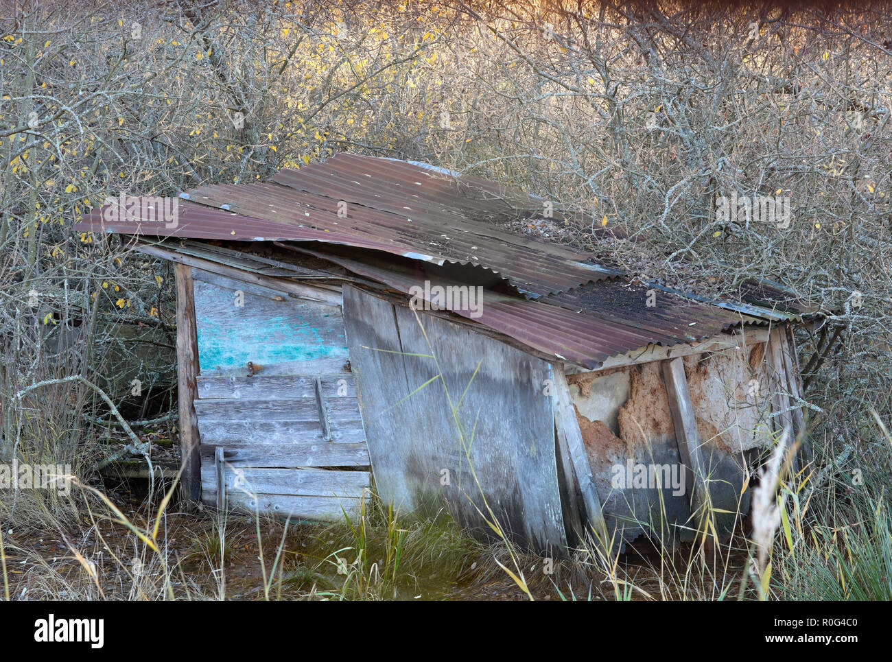 Old, desolate barn that is falling apart in Sandviken, Bogesundslandet, near Vaxholm, Sweden Stock Photo