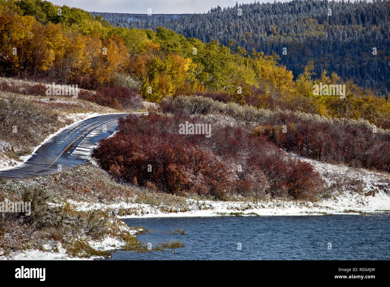 Cypress Hills First Snowfall Alberta Saskatchewan Canada Stock Photo