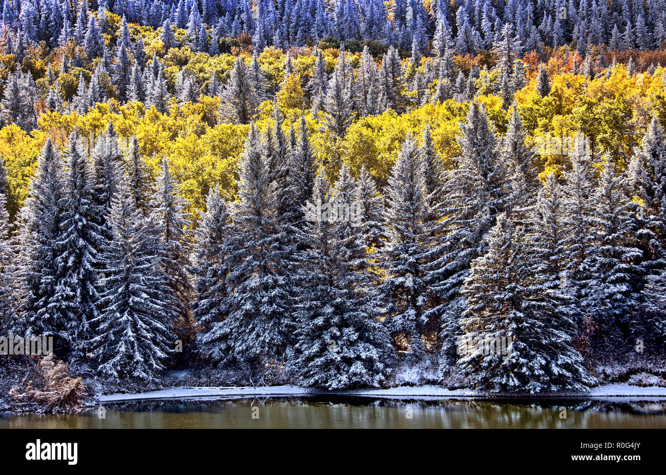 Cypress Hills First Snowfall Alberta Saskatchewan Canada Stock Photo