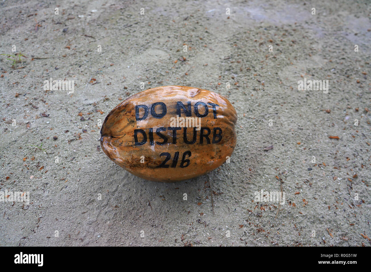 Coconut with writing on its shell lying on the sand of a beach as hotel guests request art sign not to disturb. Exotic travel destination for holiday, Stock Photo