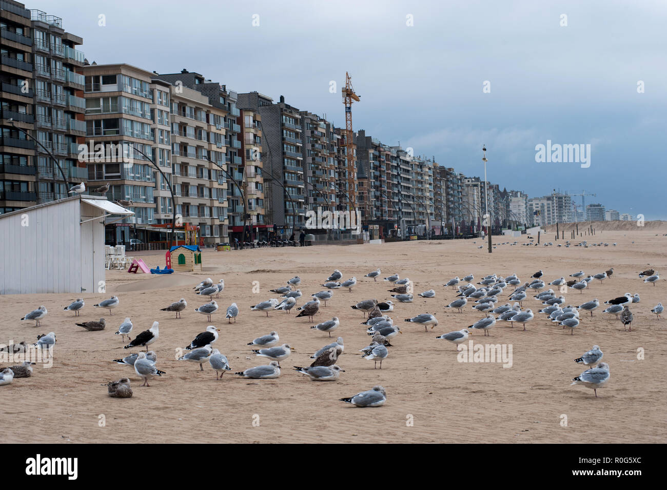 Belgium De Panne Seafront End Of Season Belgium Beach Empty Tables Autumn Season In The Belgium Seafront Sea Birds On The Beach C F Beaumont Stock Photo Alamy