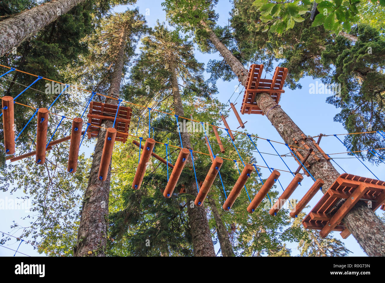 Rope adventure park in fir tree forest. Scenic view. Summer outdoor sports  and leisure activities Stock Photo - Alamy