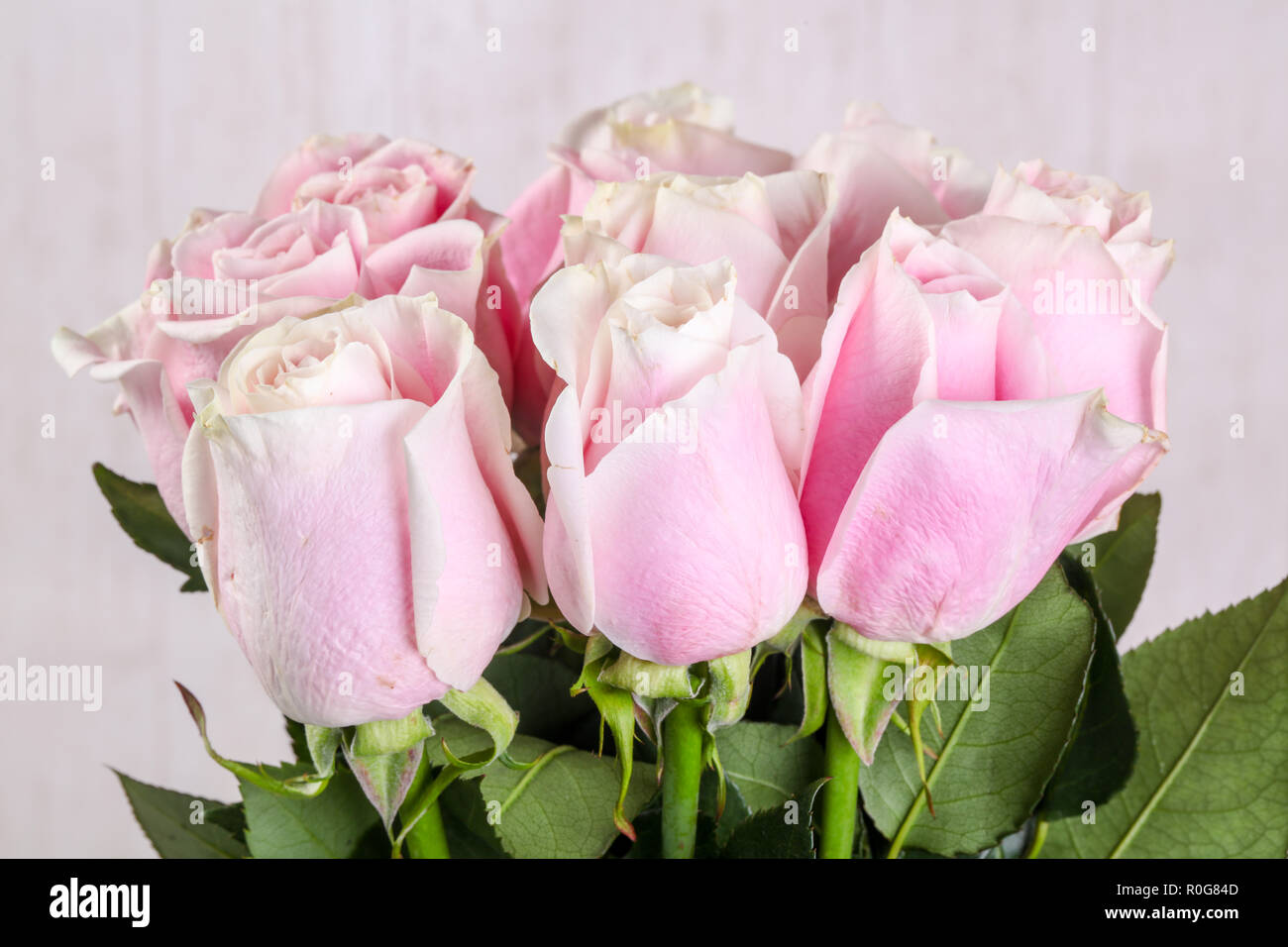Pink roses bouquet isolated on white background Stock Photo - Alamy