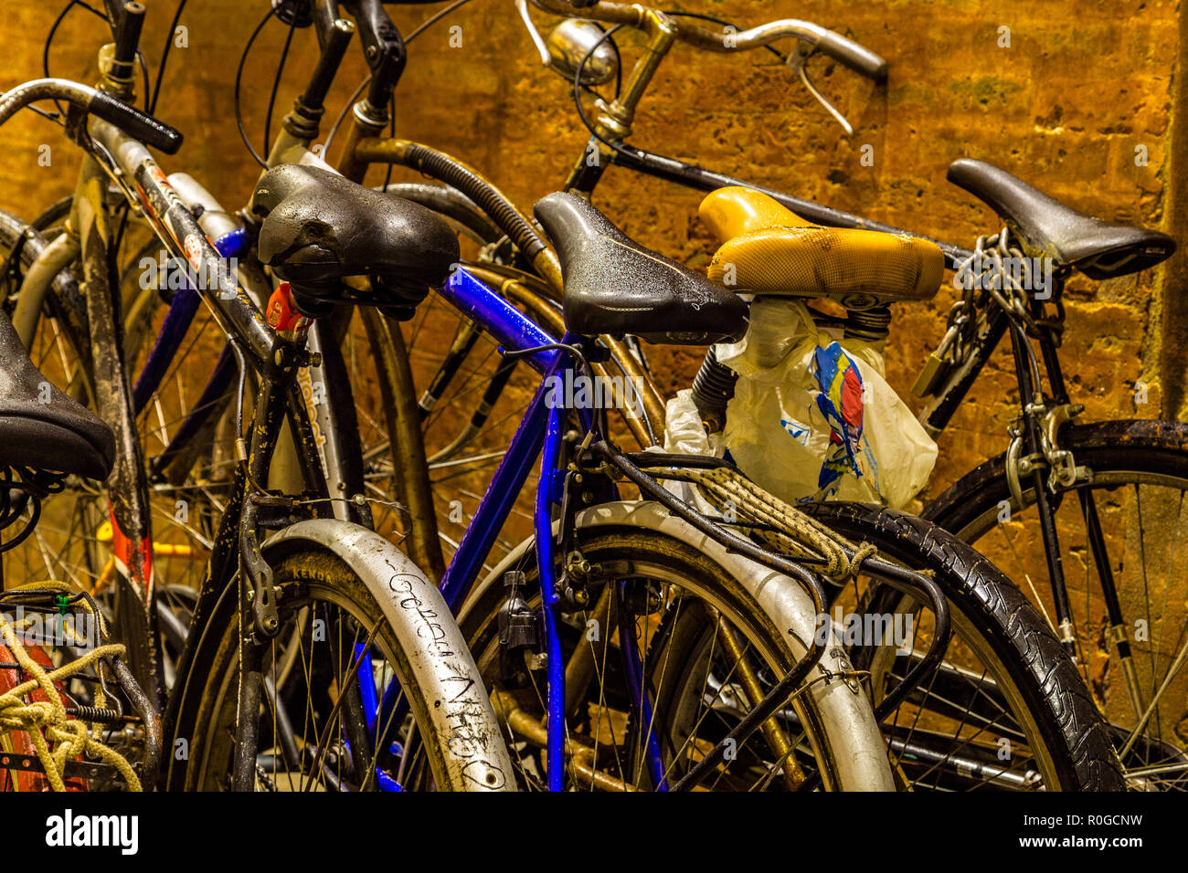 BAGNACAVALLO (RA),ITALY - JANUARY 7, 2018: raindrops are wetting parked bicycles Stock Photo
