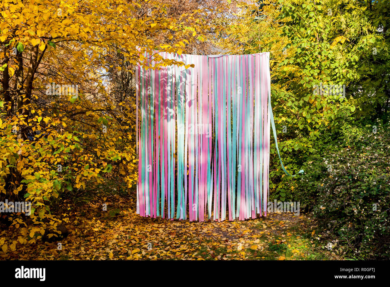 Festive Autumn Photo Zone On The Streets Of Multicolored Ribbons Free Space For Inscriptions Holiday Concept Stock Photo 224098466 Alamy
