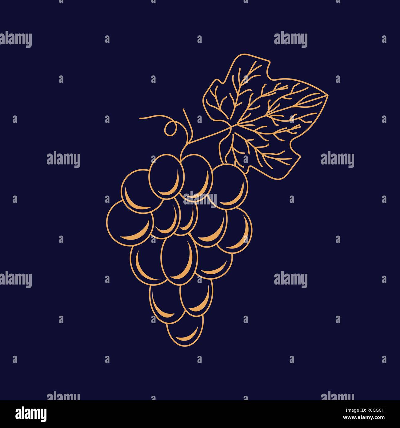 Fruit grape logo with leafmodern design Royalty Free Vector