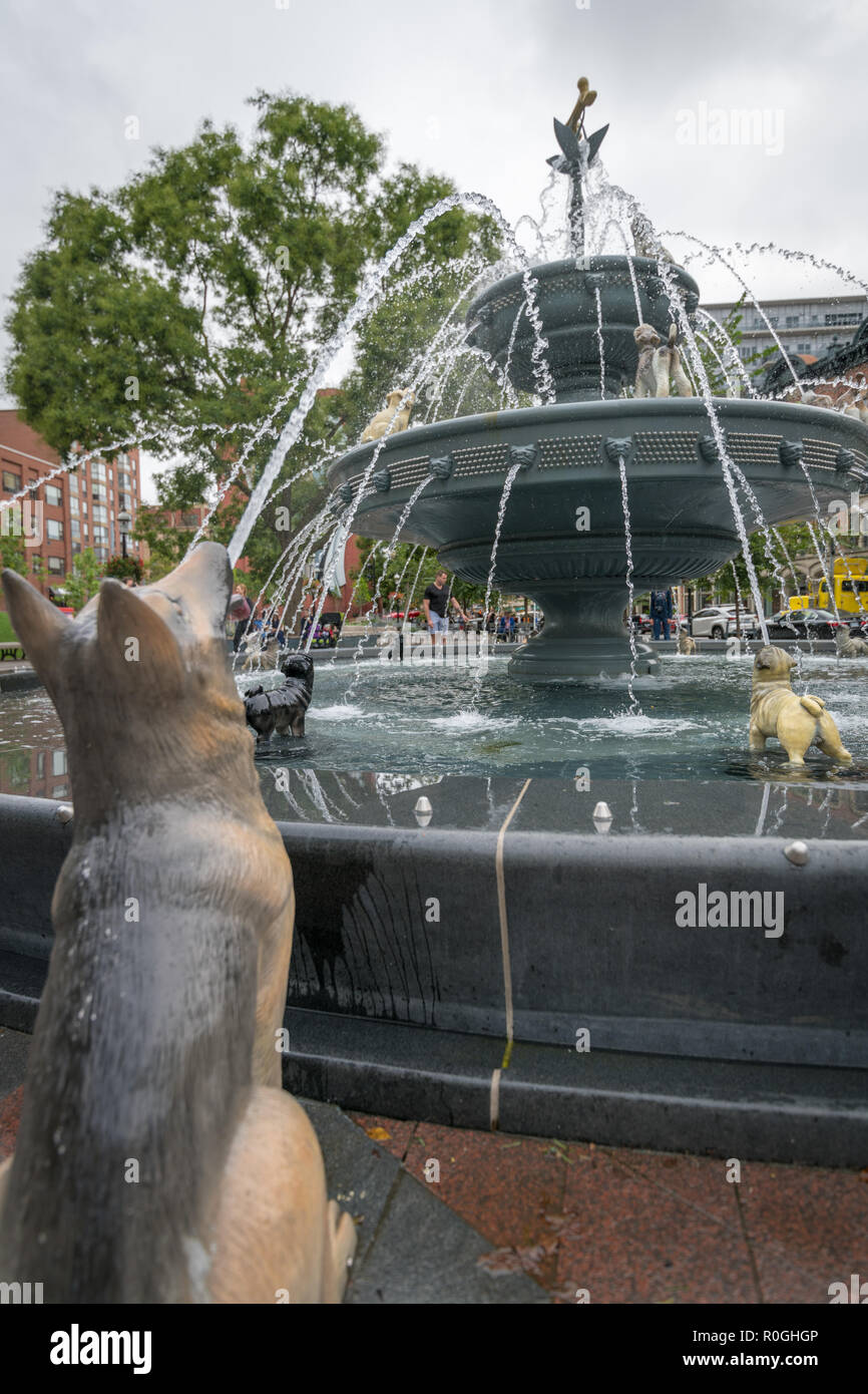 Dog water best sale fountain canada