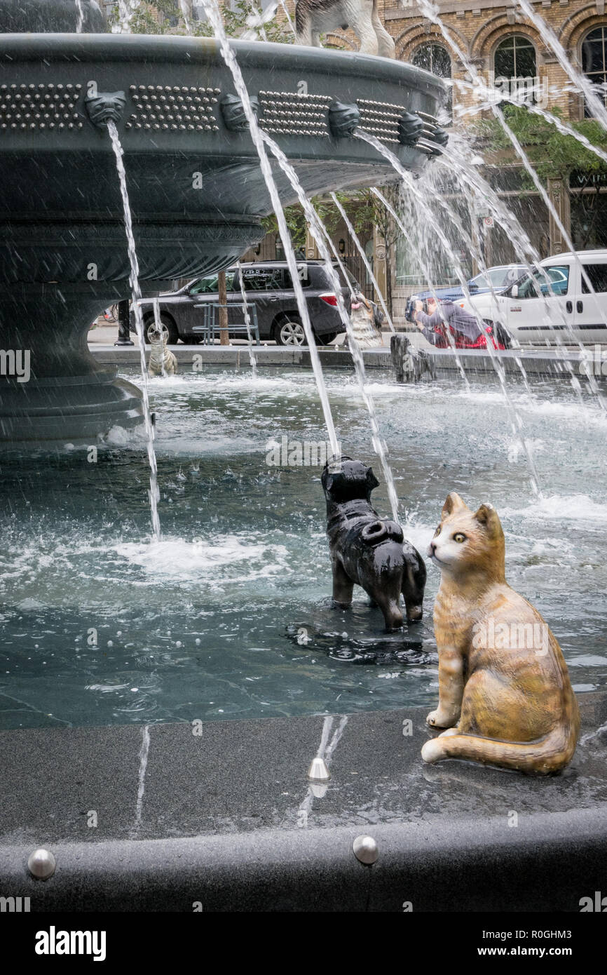 Dog fountain in Berczy Park, Toronto, Canada Stock Photo Alamy