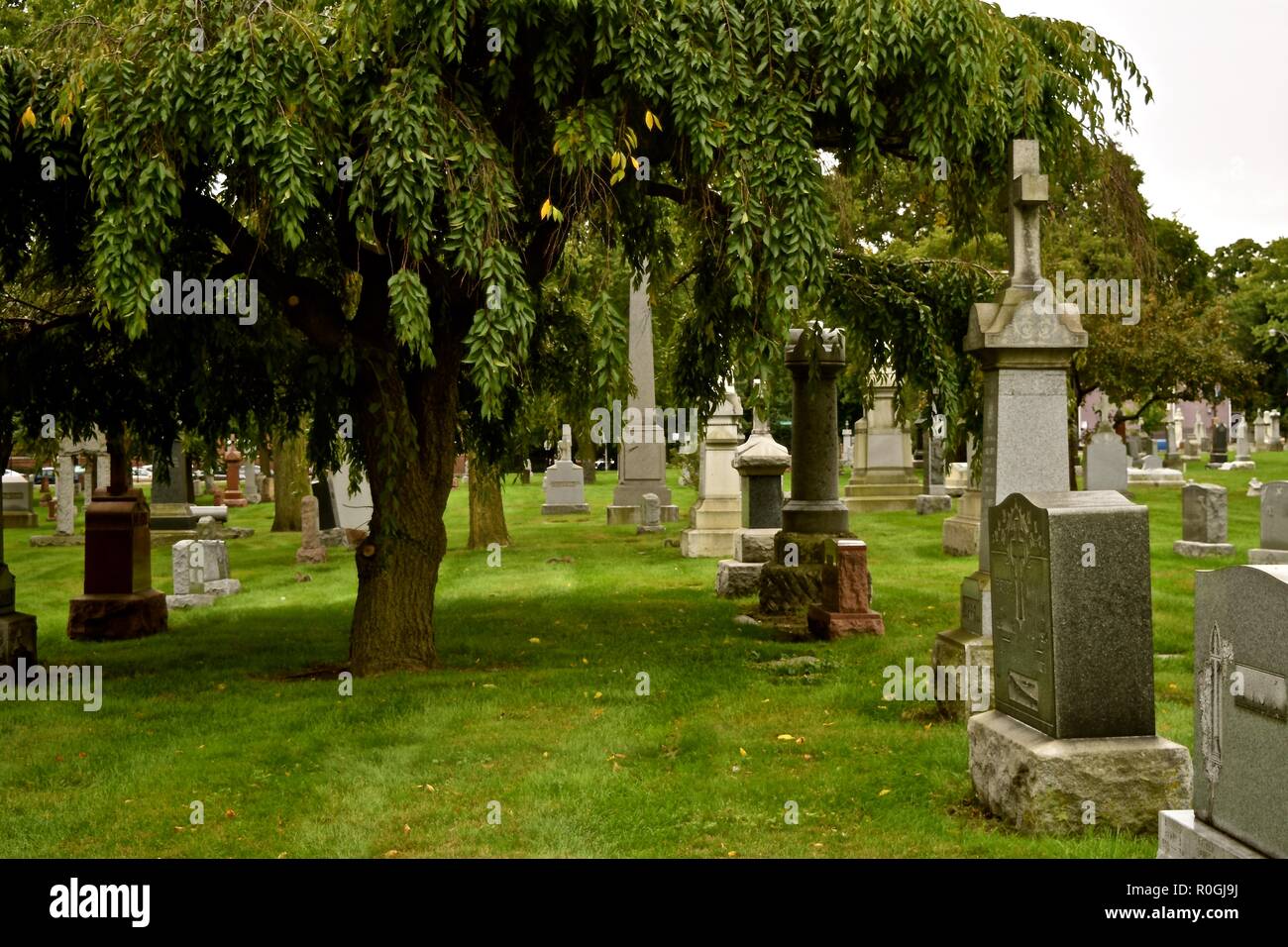The Old Cemetery of St Boniface in Chicago was the first German