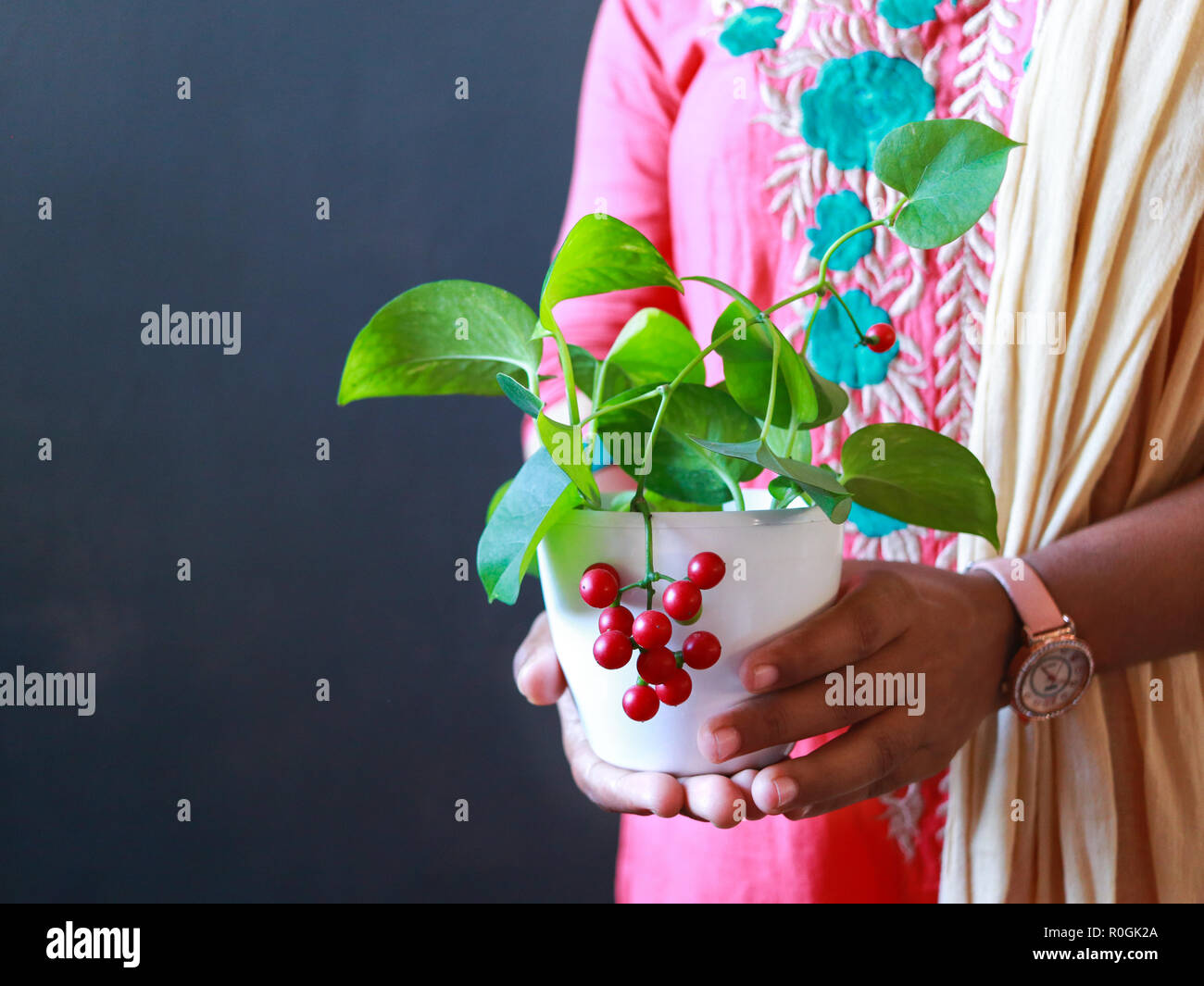 A girl holding a pot of plant  with grey background Stock Photo