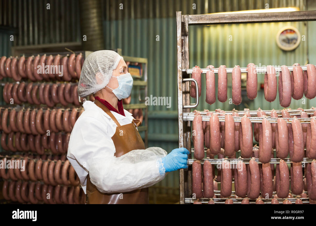 Female worker carrying raw sausages on racks in storage room at meat ...