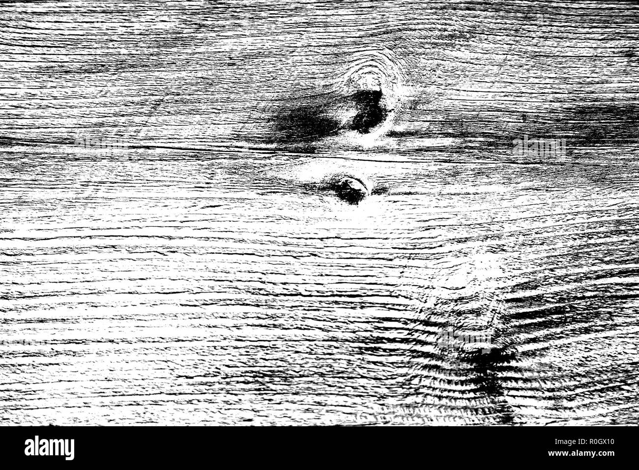 Black and white high contrast wooden texture, lengthwise cut with knots and vertical scratches Stock Photo