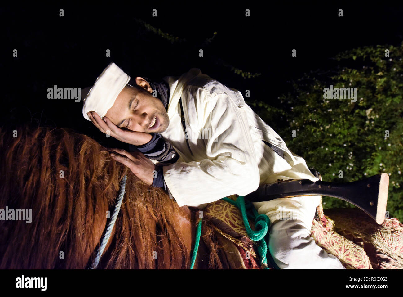Guard sleeping on his horse in Marrakech Medina Morocco Stock Photo