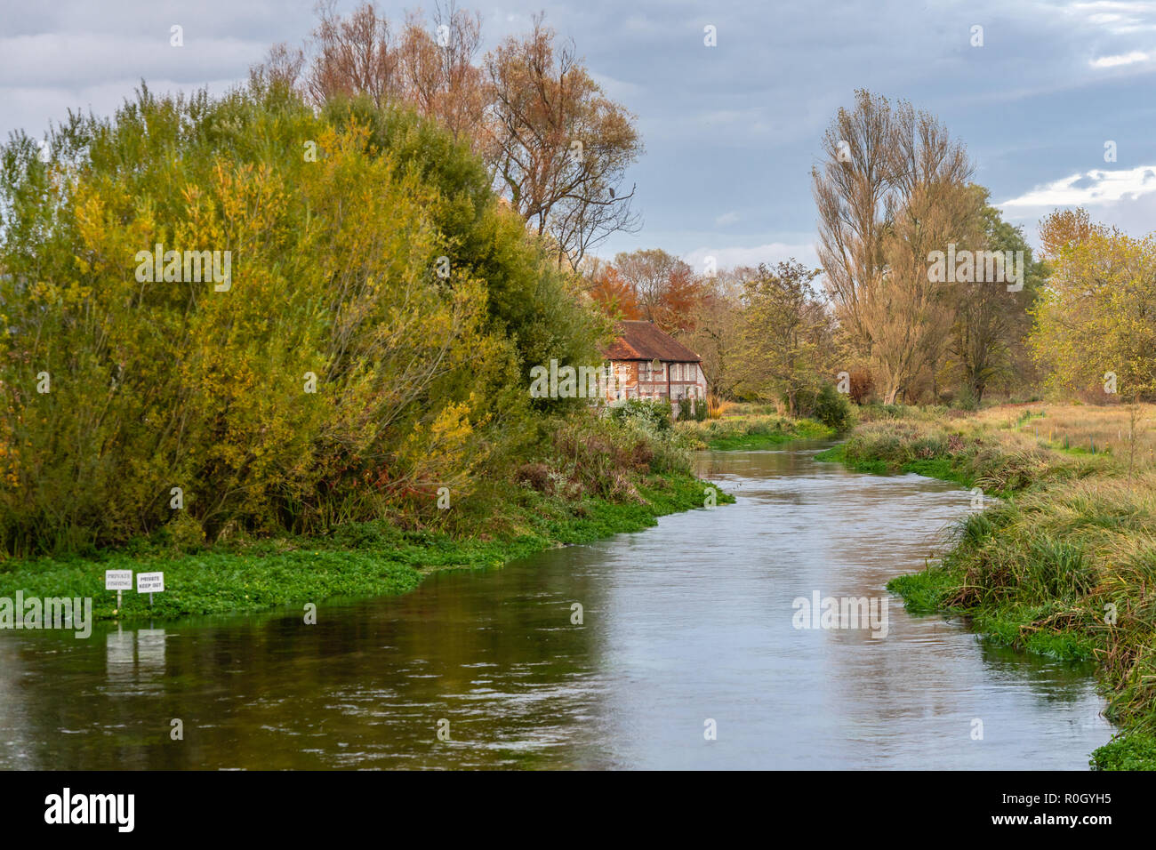 The River Itchen near Winchester in Hampshire, England, UK Stock Photo