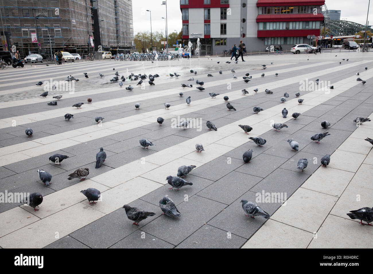 pigeons on the Breslauer square at the main station, Cologne, Germany.  Tauben auf dem Breslauer Platz am Hauptbahnhof, Koeln, Deutschland. Stock Photo