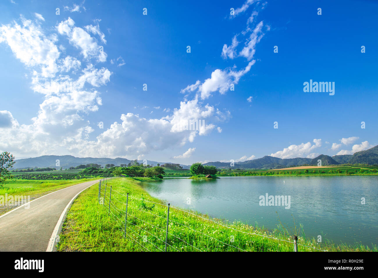 Asphalt road, route in beautiful nature landscape with marsh, blue sky and green grass. Stock Photo