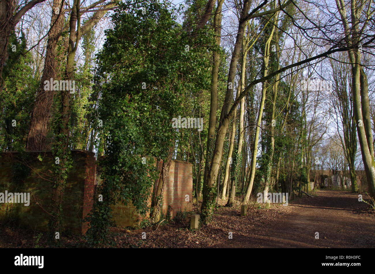 RAF Chipping Warden abandoned remains. The Macmillan Way. Long-distance trail. Northamptonshire. East Midlands. England. UK Stock Photo