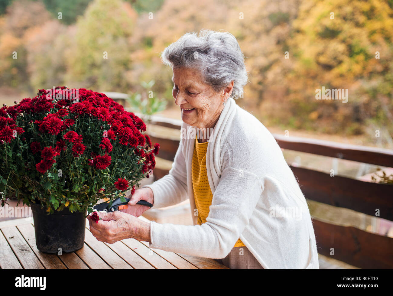 An elderly woman outdoors on a terrace on a sunny day in autumn. Stock Photo