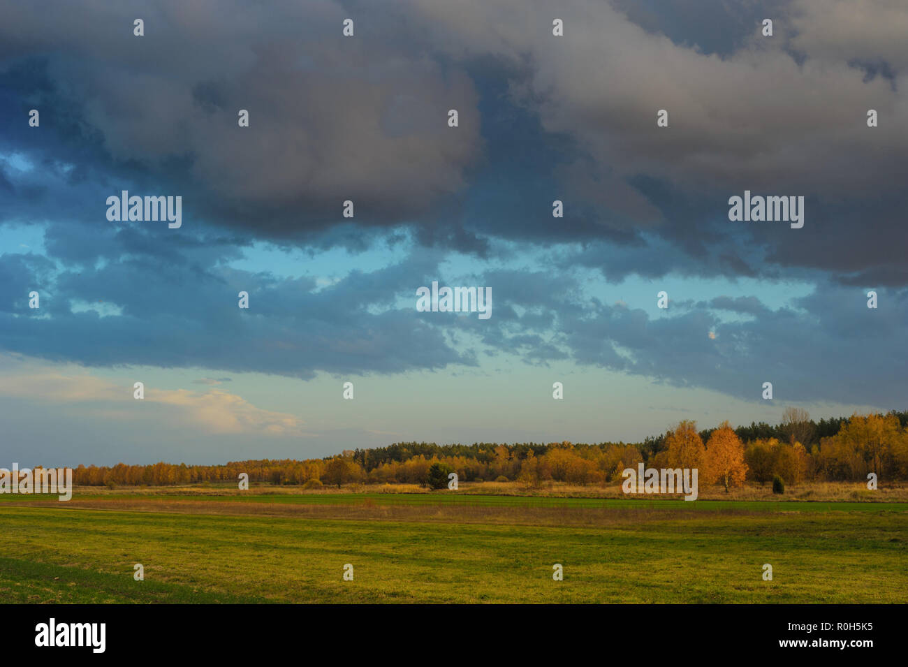 Fields lit by the light of the setting sun Stock Photo - Alamy