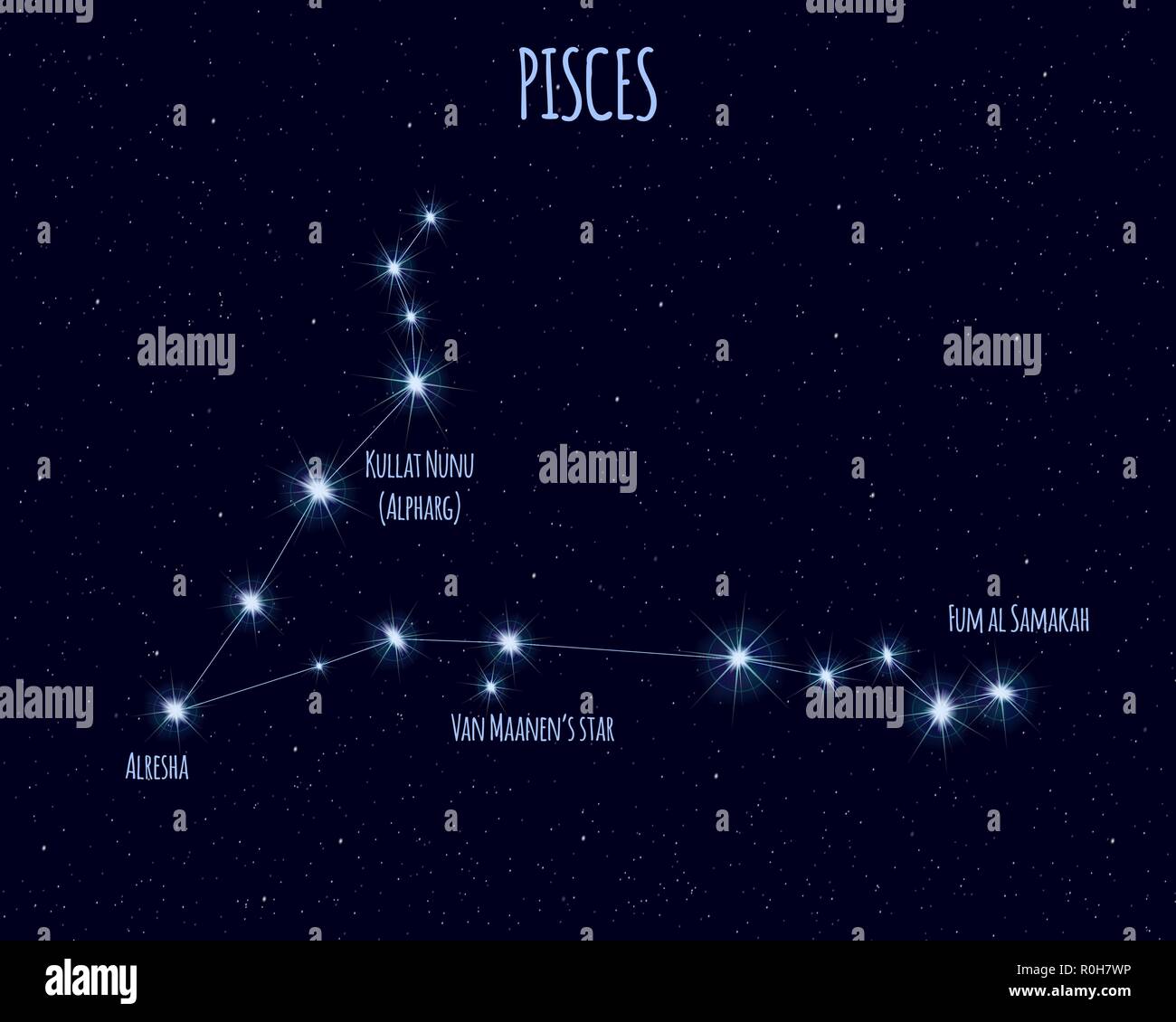 Pisces (Fishes) constellation, vector illustration with the names of basic  stars against the starry sky Stock Vector Image & Art - Alamy